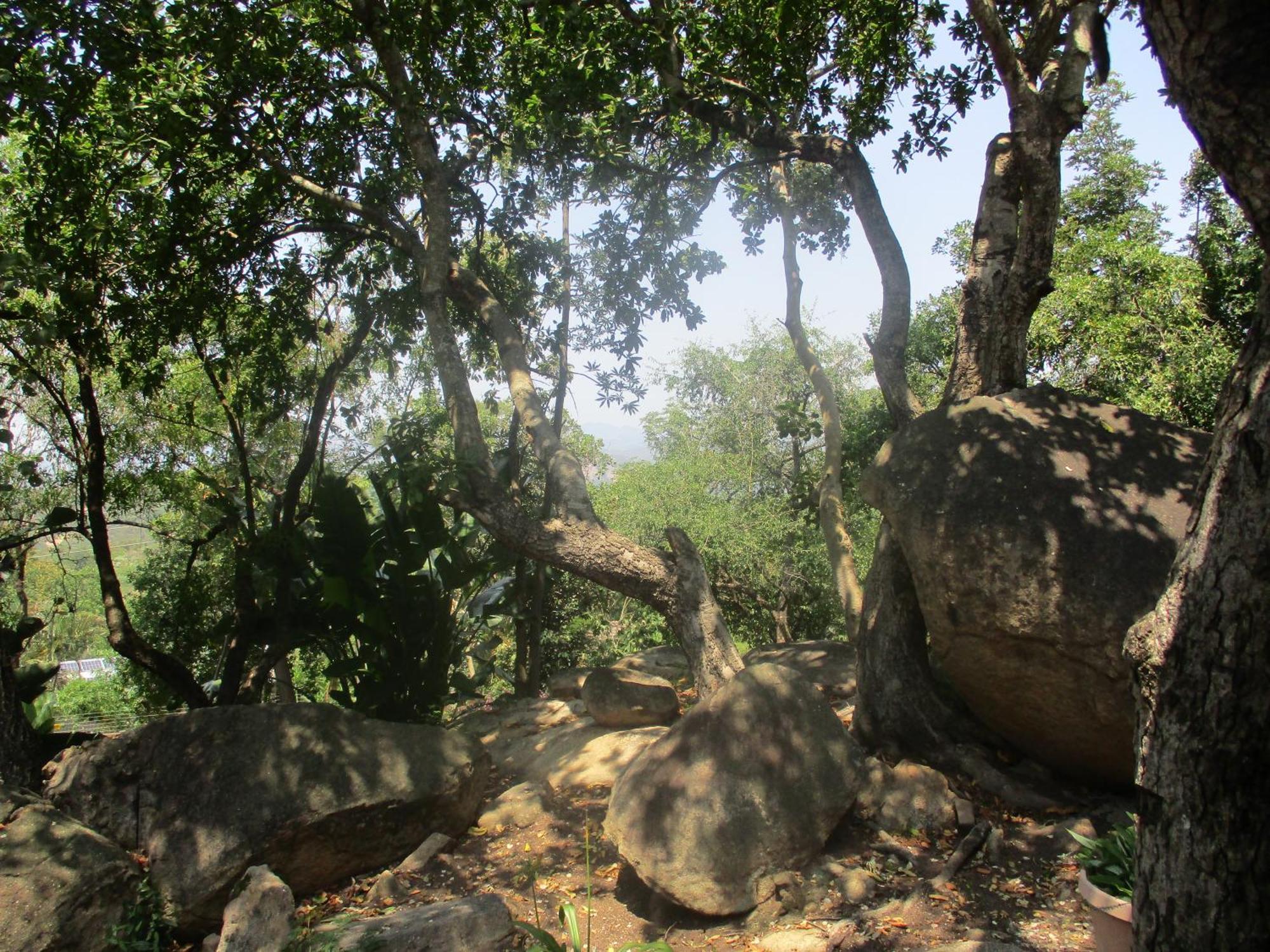 Leopard Tree Retreat Villa Mbombela Eksteriør bilde