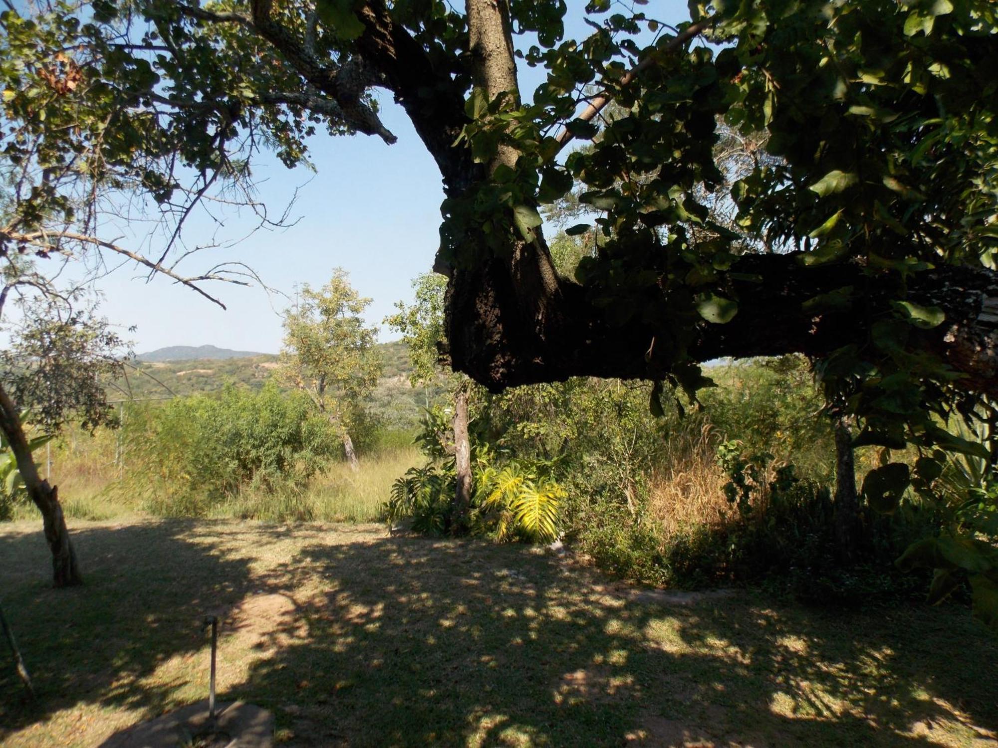 Leopard Tree Retreat Villa Mbombela Eksteriør bilde